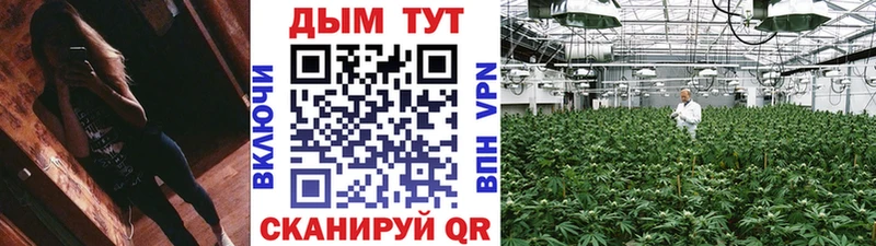 Канабис Bruce Banner Орехово-Зуево
